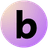 Berlin logo